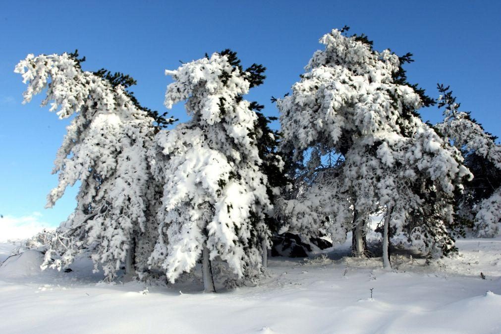 Mau tempo: Reabertas estradas na serra da Estrela