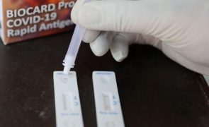 Covid-19: Portugal ultrapassou os 23 milhões de testes desde o início da pandemia