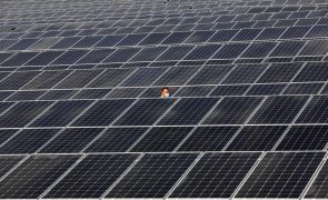 EDP Renováveis garante novo contrato de 25MW para projeto solar na Hungria