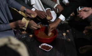 Fome no mundo árabe atinge os 69 milhões de subnutridos
