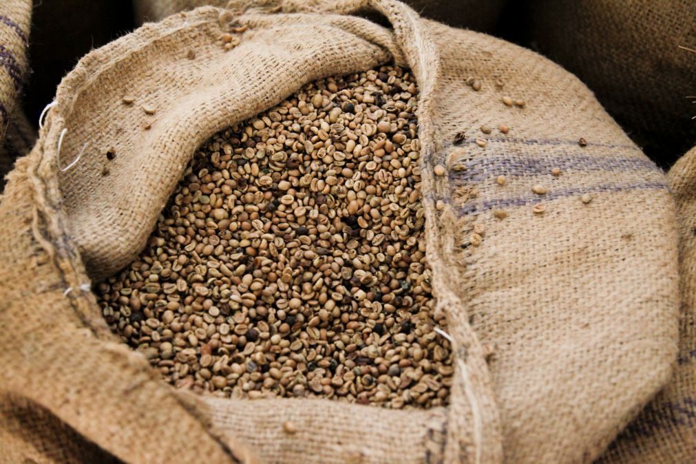 Safra brasileira de café terá queda de 24,4% este ano