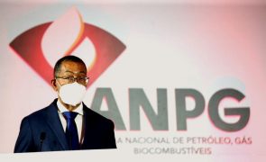 Ministro dos Petróleos angolano defende reforço da participação de empresas nacionais no setor
