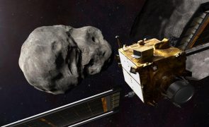 Universidade de Évora integra projeto internacional para alterar rota de asteroide