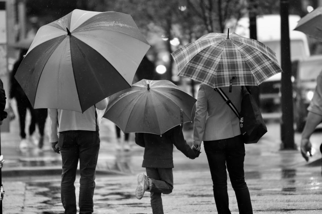 Meteorologia: Previsão do tempo para terça-feira, 21 de dezembro