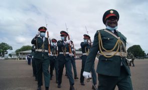 Moçambique/Ataques: Força militar conjunta anuncia morte de 14 terroristas em Macomia