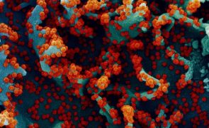 Covid-19: Cientistas dizem que Ómicron é um alerta da ameaça do vírus