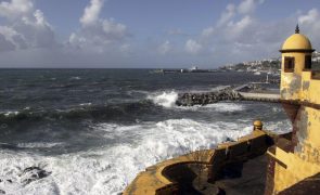 Capitania do Funchal prolonga aviso de agitação marítima até sábado
