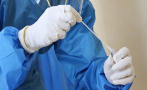 Covid-19: Mais 31.431 infeções e 51 mortes em Portugal em 24 horas