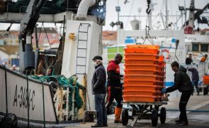 Anacom e Polícia Marítima fiscalizam rádios de 20 embarcações no Norte e Peniche