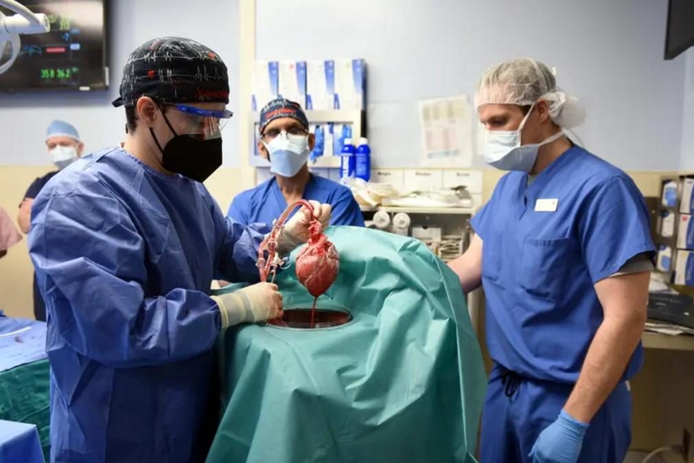 Homem recebe coração de porco em cirurgia inédita
