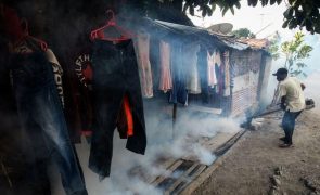 Número de mortos de surto de dengue em Timor-Leste sobe para sete