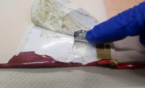 Brasileiro detido ao tentar embarcar para Lisboa com mais de dois quilos de cocaína
