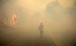 Doze concelhos de quatro distritos em risco máximo de incêndio