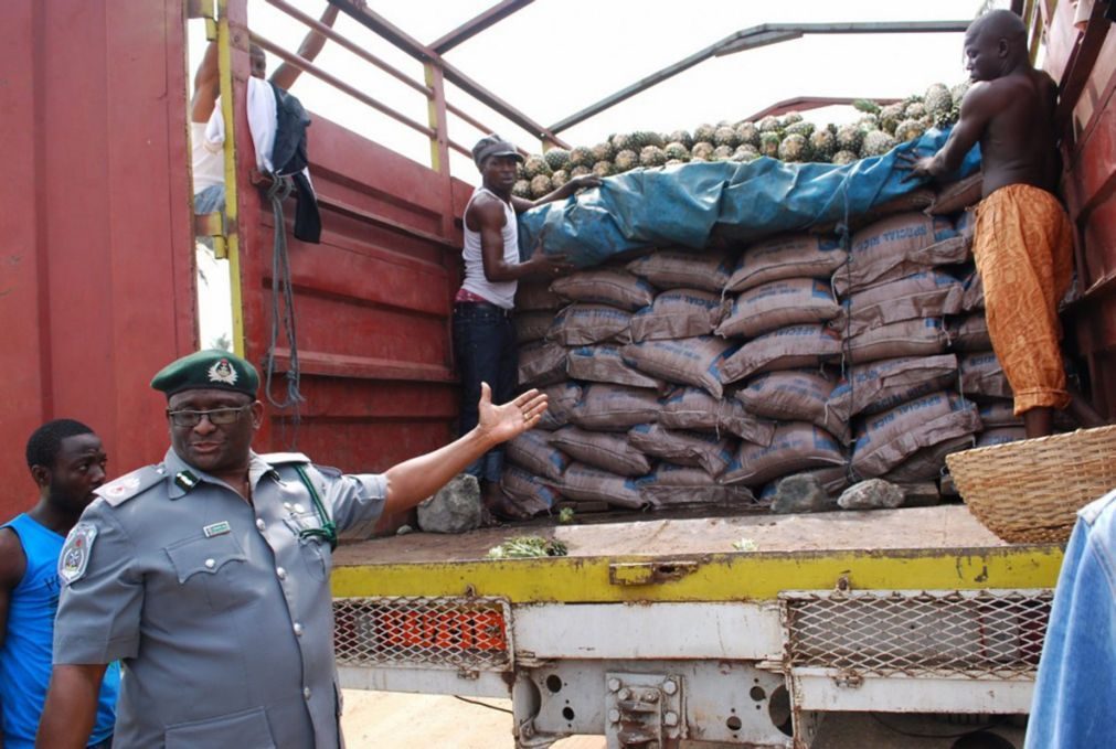 Autoridades angolanas descartam que arroz suspeito seja de plástico