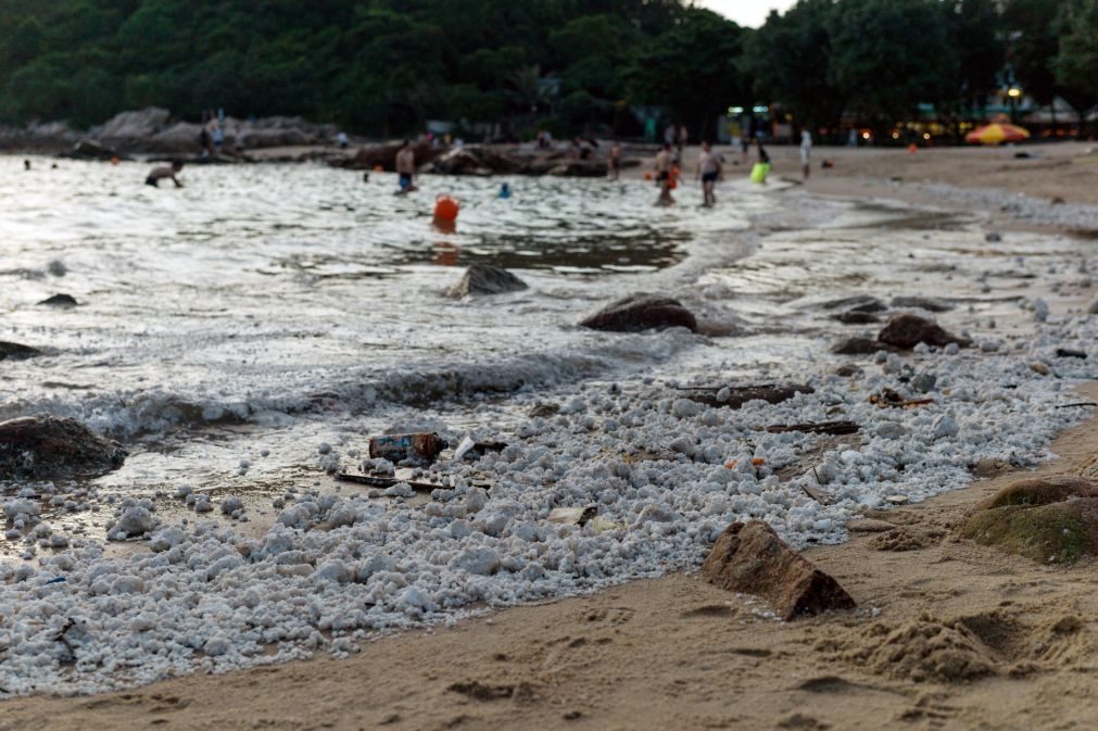 Praias em Hong Kong interditas após derrame de óleo de palma