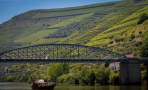 Covid-19: Turismo fluvial no Douro recupera 23% em 2021 face a ano difícil de 2020