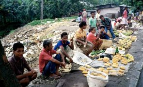 Covid-19: Governo timorense aprova nova edição da cesta básica para 2022