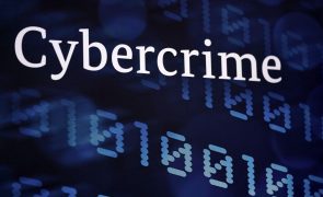 Cibercrime: ONG portuguesa participa na elaboração de primeira convenção da ONU