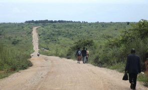 Cafunfo/Angola: Governo da Lunda Norte reforça verbas para estrada e estima concluir primeiro troço em abril