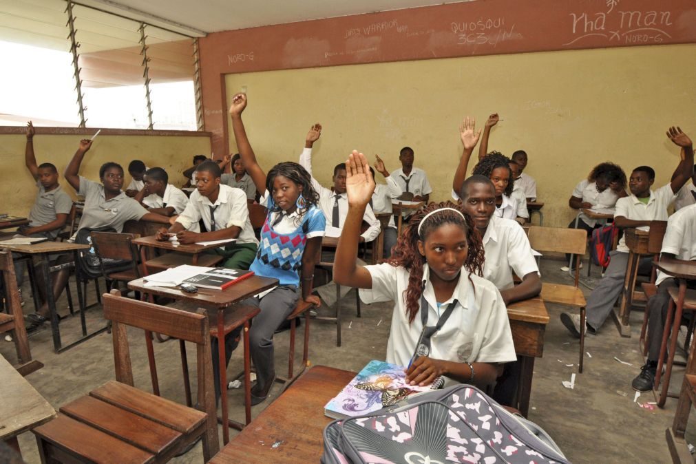 Governo moçambicano manda fabricar 800 mil carteiras escolares com madeira apreendida