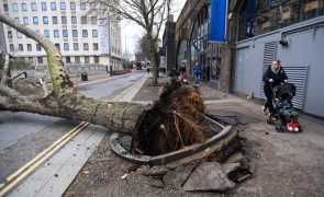 Tempestade Eunice provoca pelo menos seis mortes no norte da Europa