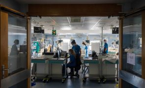Ucrânia: Hospital São João terá 138 camas de várias especialidades para acolher feridos