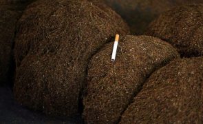São Tomé e Príncipe aprova estratégia nacional para o controlo do tabagismo