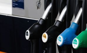 Crise/Energia: Estado passará a arrecadar mais de um euro em cada litro de gasolina - BA&N Research Unit