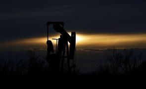 Cotação do barril de petróleo Brent sobe 4,26% para 123,21 dólares