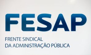 FESAP defende medidas que garantam igualdade de mulheres no trabalho