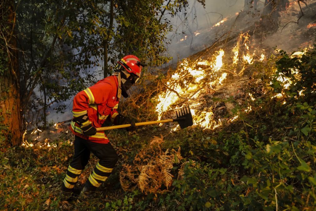 Fogos: Um novo máximo registado, 268 fogos este sábado!