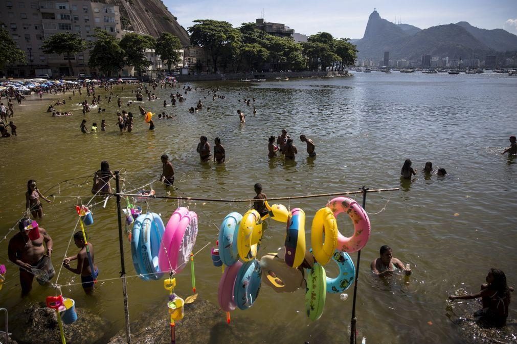 Brasileiros preferem proteger o ambiente a terem crescimento económico