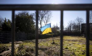 Ucrânia: Putin admite 