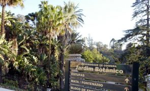 Câmara de Coimbra compromete-se a preservar mata do Jardim Botânico
