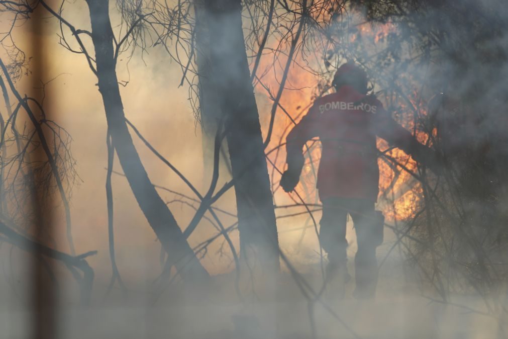 Corpo da última vítima mortal dos incêndios só foi encontrado quatro dias depois da tragédia