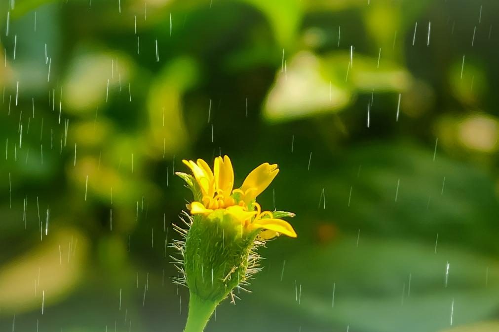 Meteorologia: Previsão do tempo para quinta-feira, 31 de março