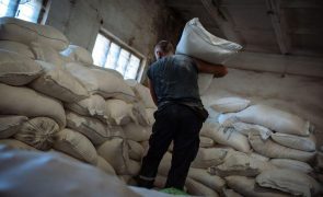 Ucrânia: Angola deve criar reserva do petróleo para garantir abastecimento de cereais - Cedesa