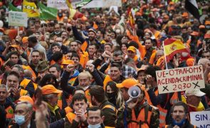 Manifestação em defesa do mundo rural em Madrid terminou sem incidentes