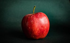 Doze bons motivos para comer uma maçã por dia