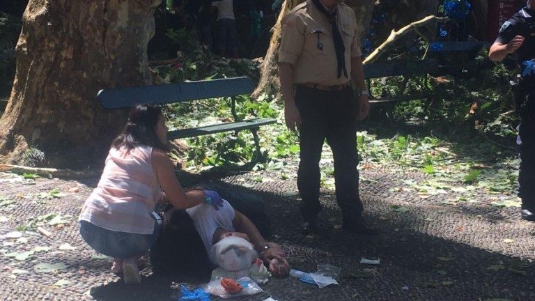 ATUALIZAÇÃO: Queda de árvore no Funchal faz 11 mortos e 35 feridos