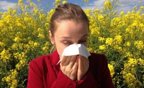 Alergias na primavera? São estes os sintomas