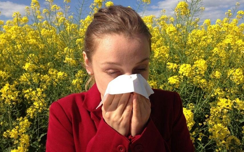 Alergias na primavera? São estes os sintomas
