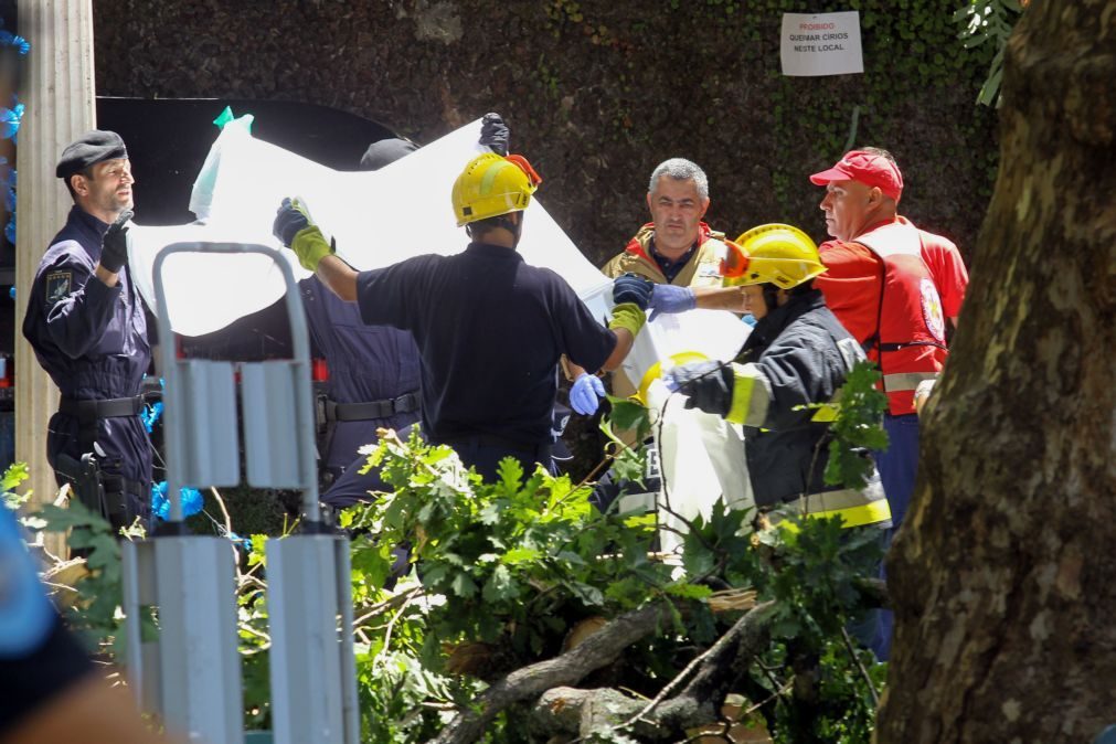 Tragédia no Funchal: 12 mortos e 52 feridos é o balanço oficial do acidente