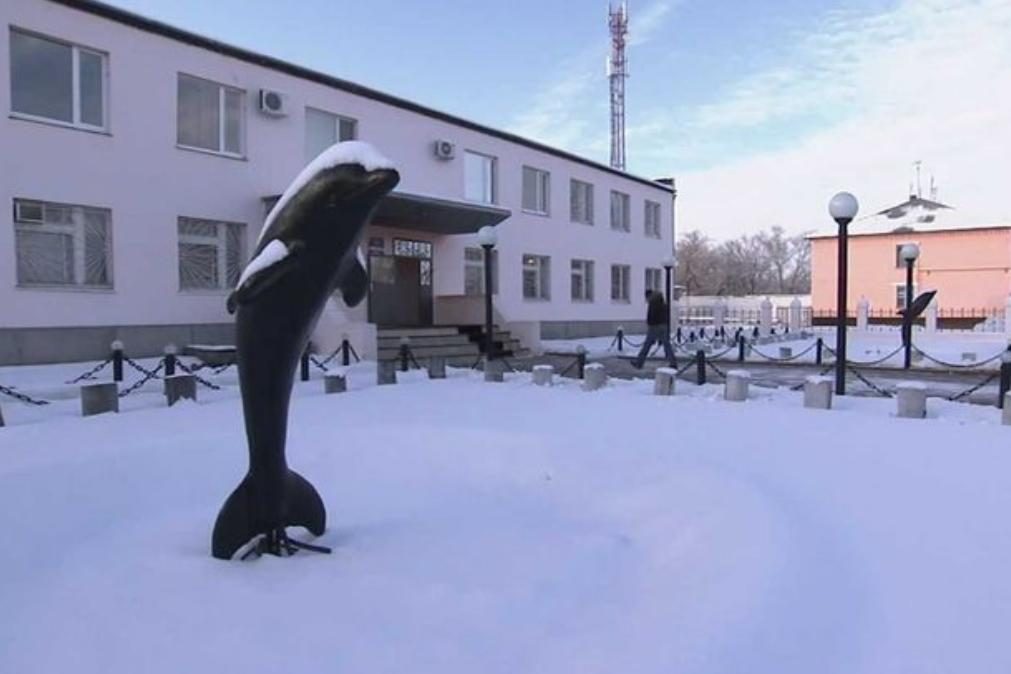 Uma viagem a Black Dolphin, a prisão mais temida de Putin, onde os presos são enviados para morrer