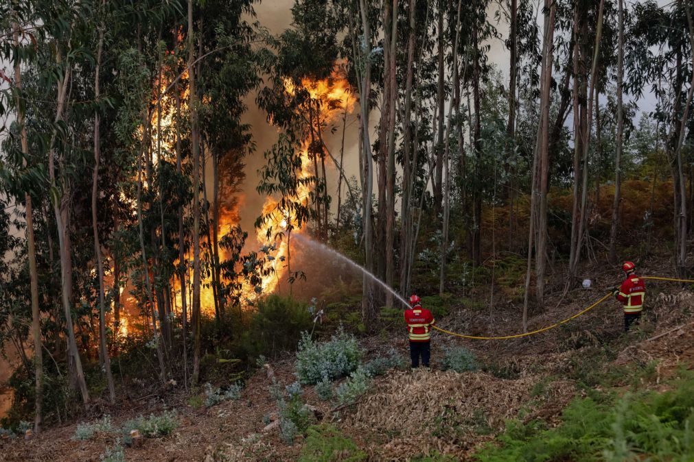 Fogo de Louriçal do Campo em Castelo Branco dominado