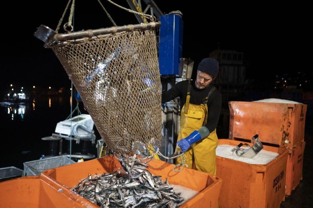 Bruxelas aprova ajudas de emergência para setor das pescas