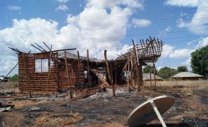 Moçambique/Ataques: ONG acusa Governo de 