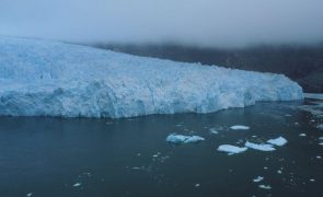 Investigadores pedem à comunidade científica desobediência civil face à crise climática