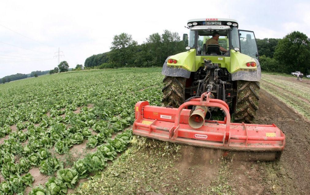 Governo: Aumentam apoios à pequena e média agricultura