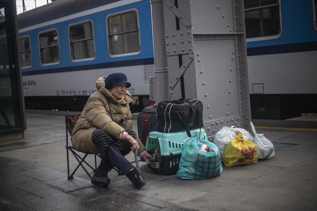 Ucrânia: Ordem dos Veterinários promove apoio médico e transporte de refugiados